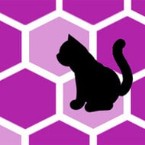 Trap the Cat